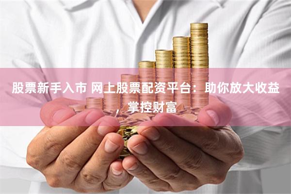 股票新手入市 网上股票配资平台：助你放大收益，掌控财富