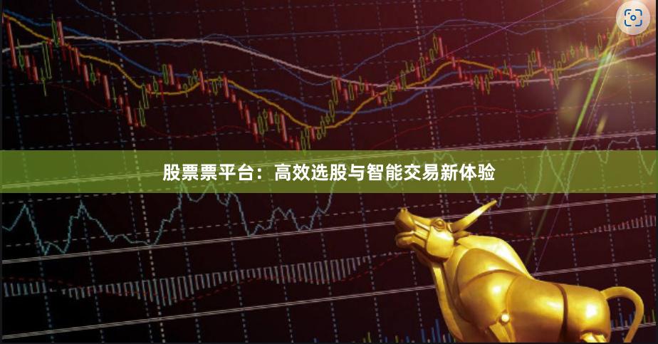 股票票平台：高效选股与智能交易新体验