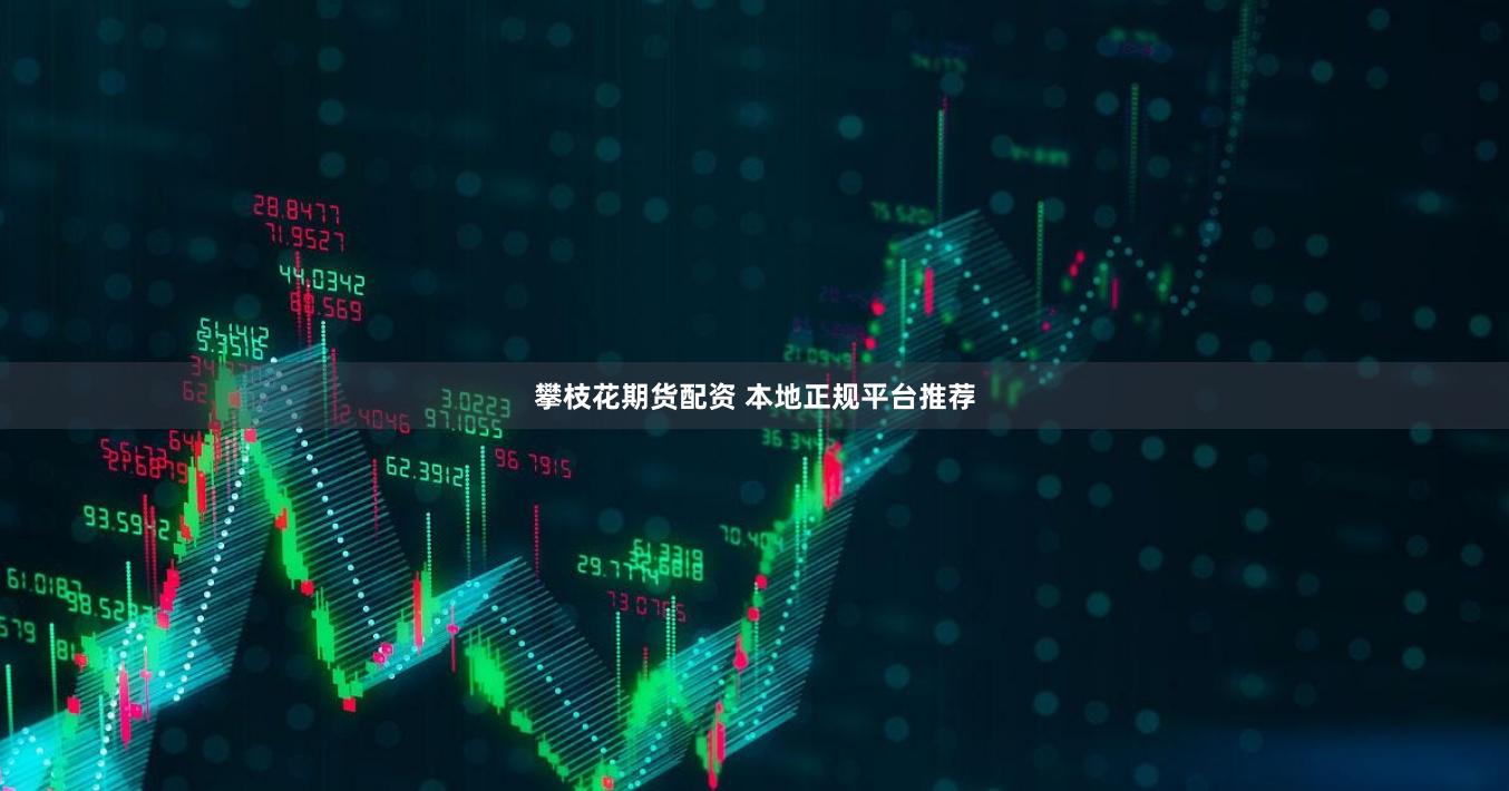 攀枝花期货配资 本地正规平台推荐